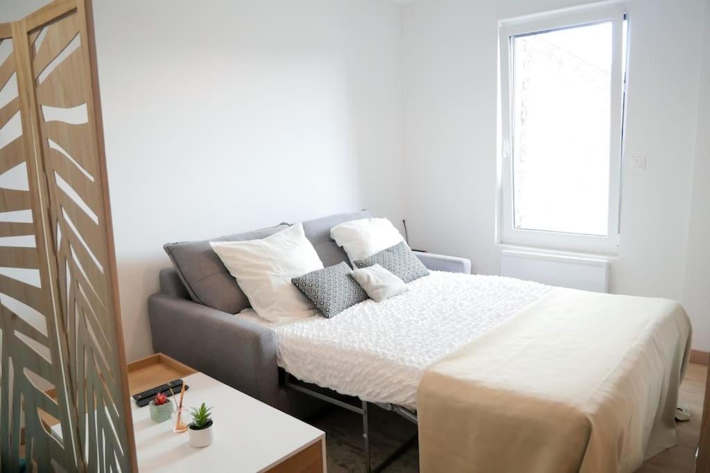 Stud Confort Centre Ville 4Pers 圣康坦 外观 照片